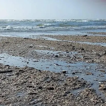10 Person In Сasa de vacaciones *